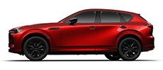 Small SUV | Station Wagon
